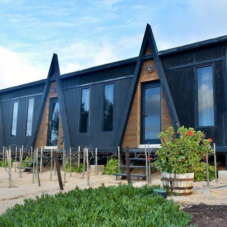 Finca Cazosa Valle de Guadalupe Dış mekan fotoğraf