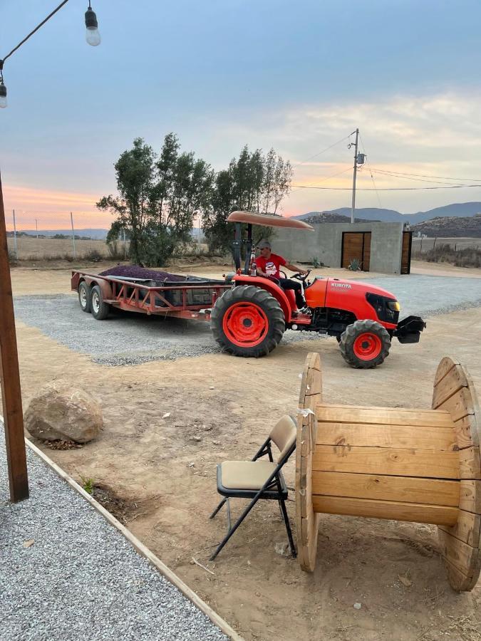 Finca Cazosa Valle de Guadalupe Dış mekan fotoğraf