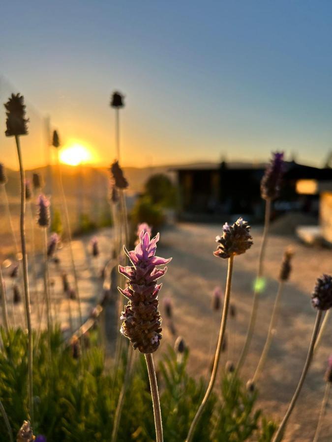 Finca Cazosa Villa Valle de Guadalupe Dış mekan fotoğraf