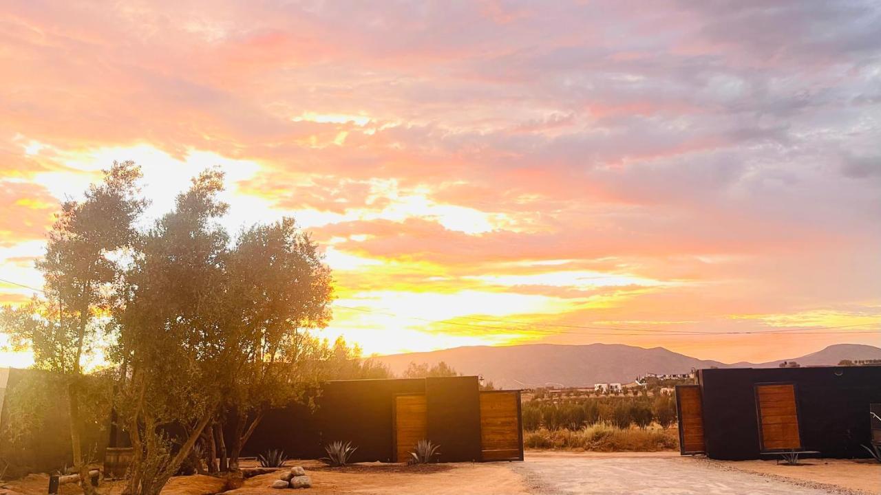 Finca Cazosa Valle de Guadalupe Dış mekan fotoğraf