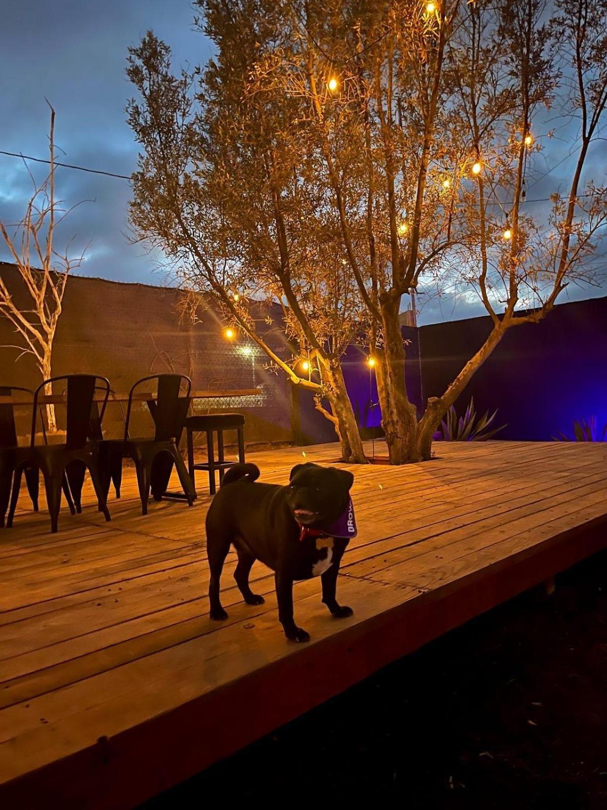 Finca Cazosa Valle de Guadalupe Dış mekan fotoğraf